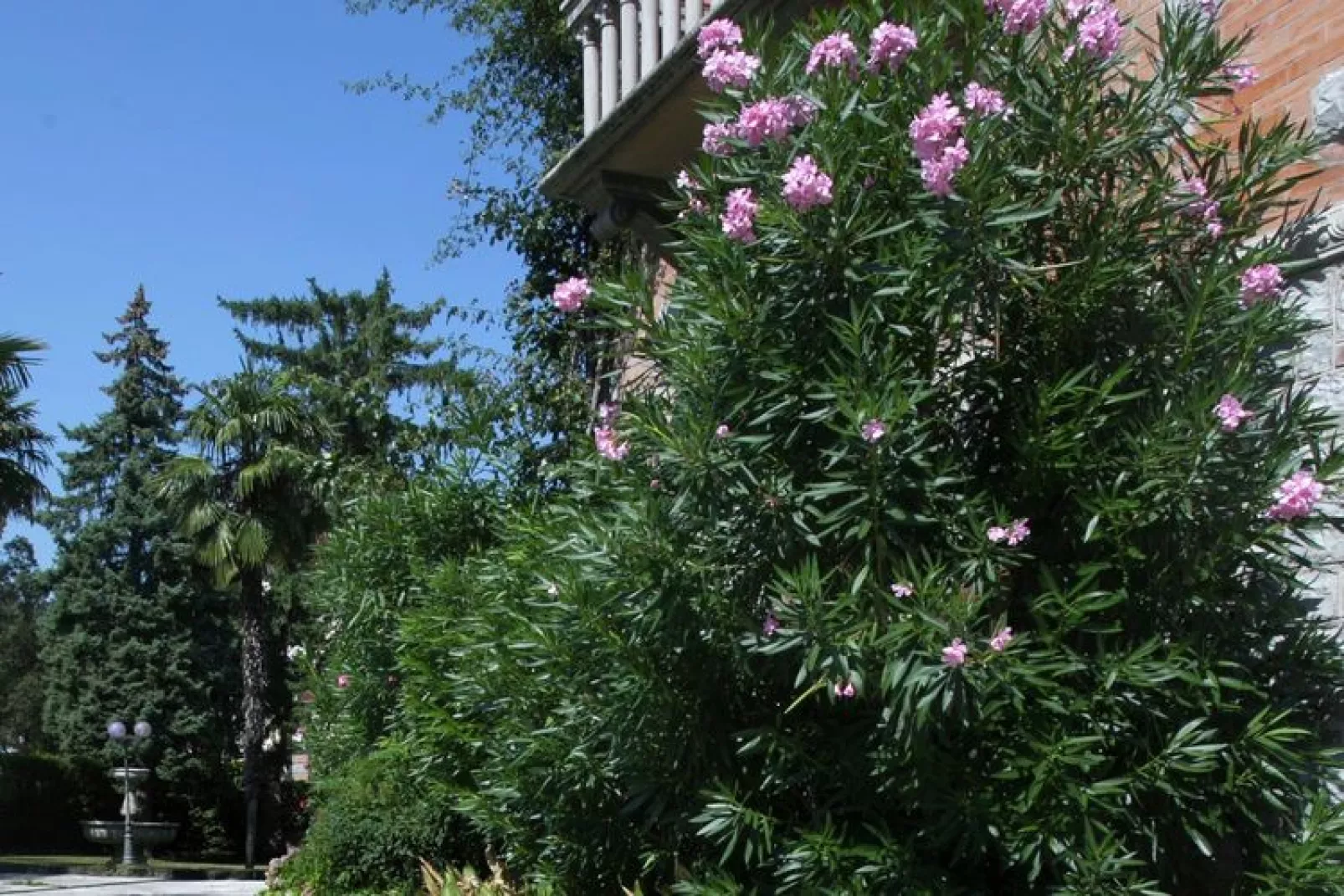Villa Melina-Außenbereich Sommer