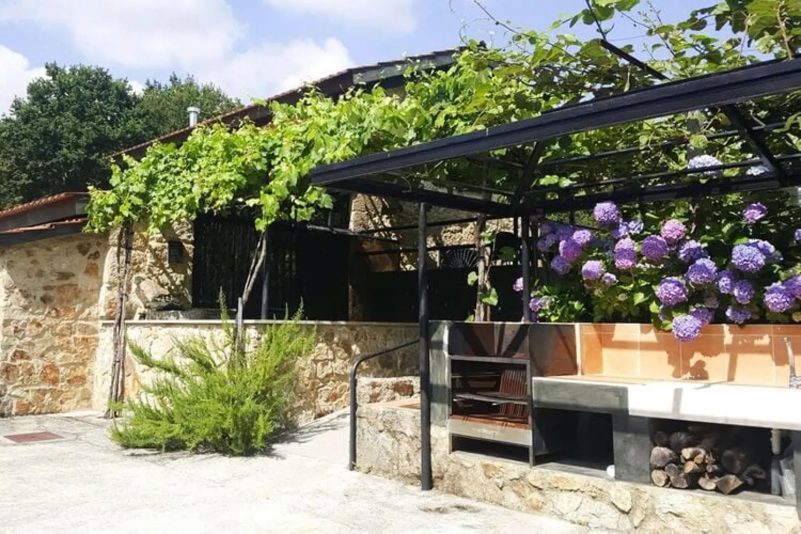 Holiday home Vale de Cambra-Gardens summer