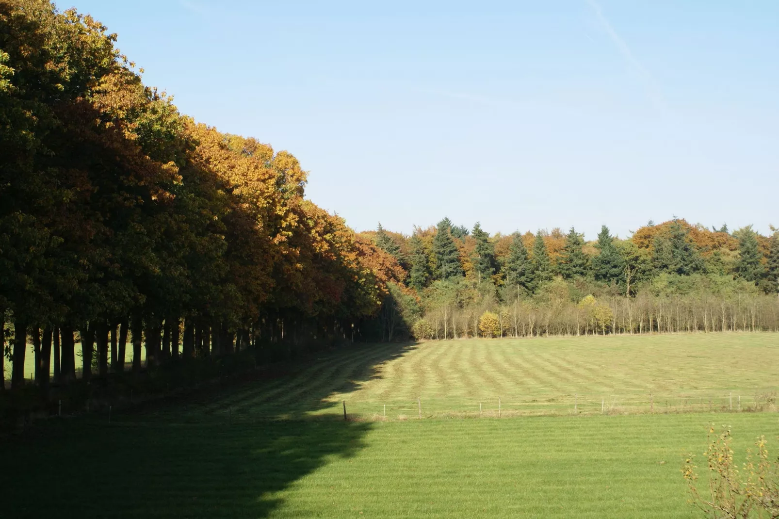 Hofstede Groot Blankenstein-Aussicht Sommer