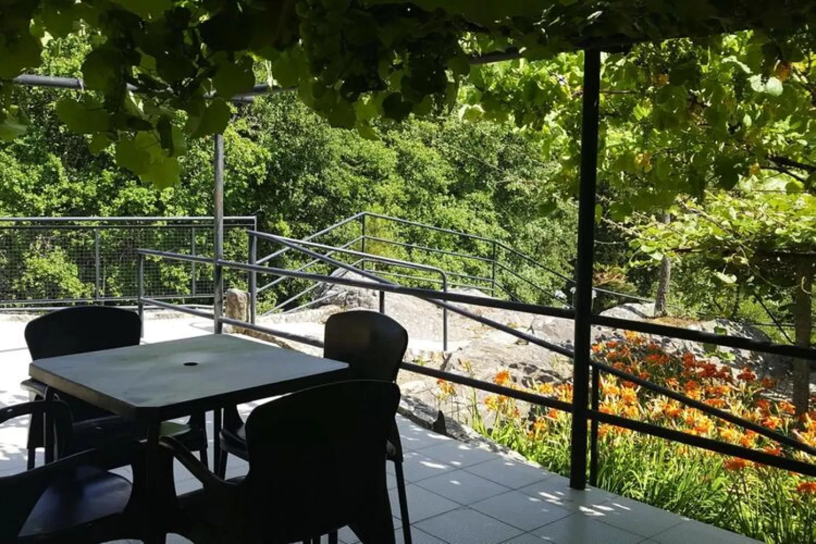 Holiday home Vale de Cambra-Terrace