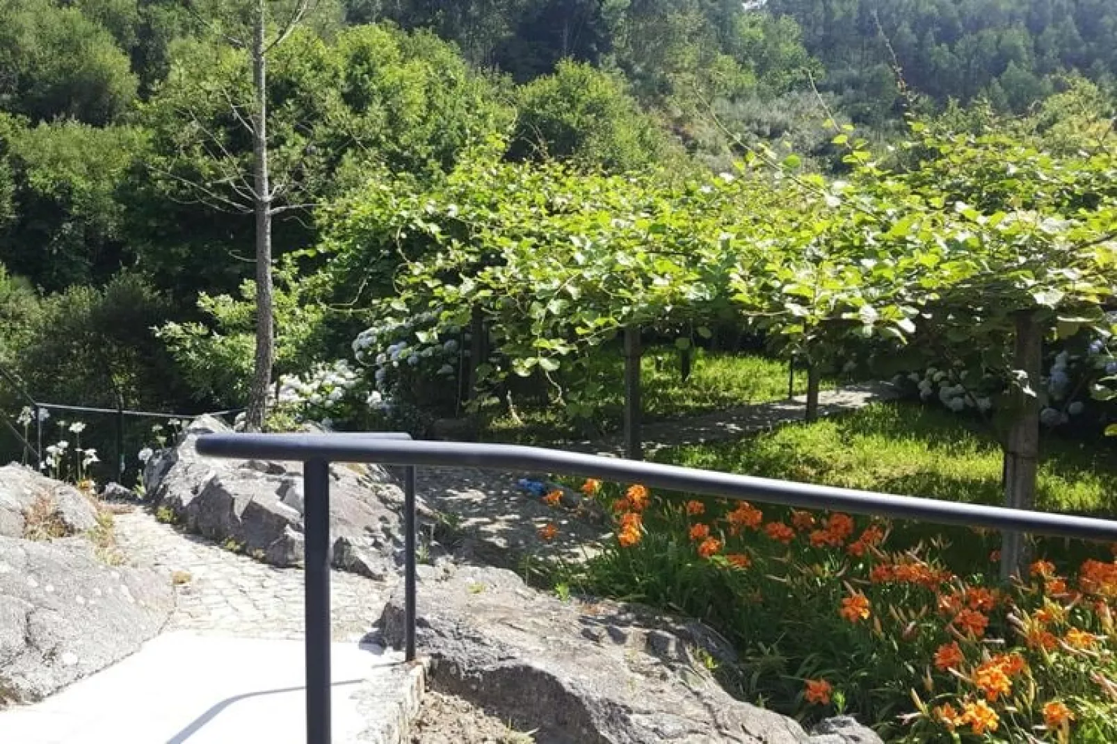 Holiday home Vale de Cambra-Terrace