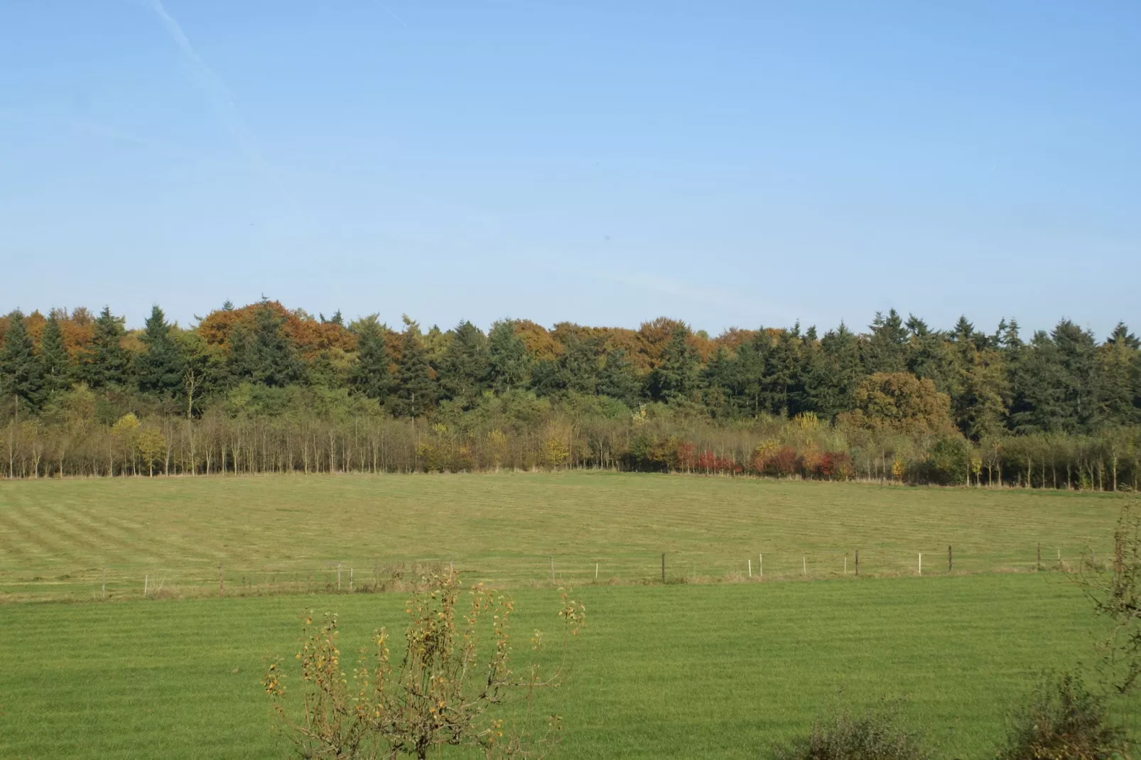 Hofstede Groot Blankenstein-Aussicht Sommer