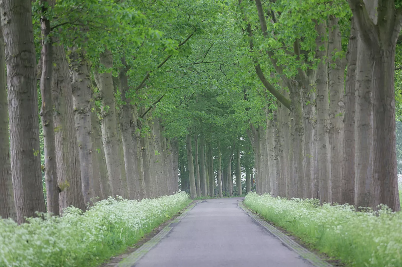 Hofstede Groot Blankenstein-Gebiete Sommer 20 km
