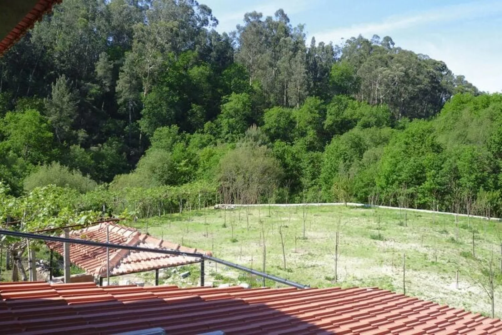 Holiday home Vale de Cambra-Gardens summer
