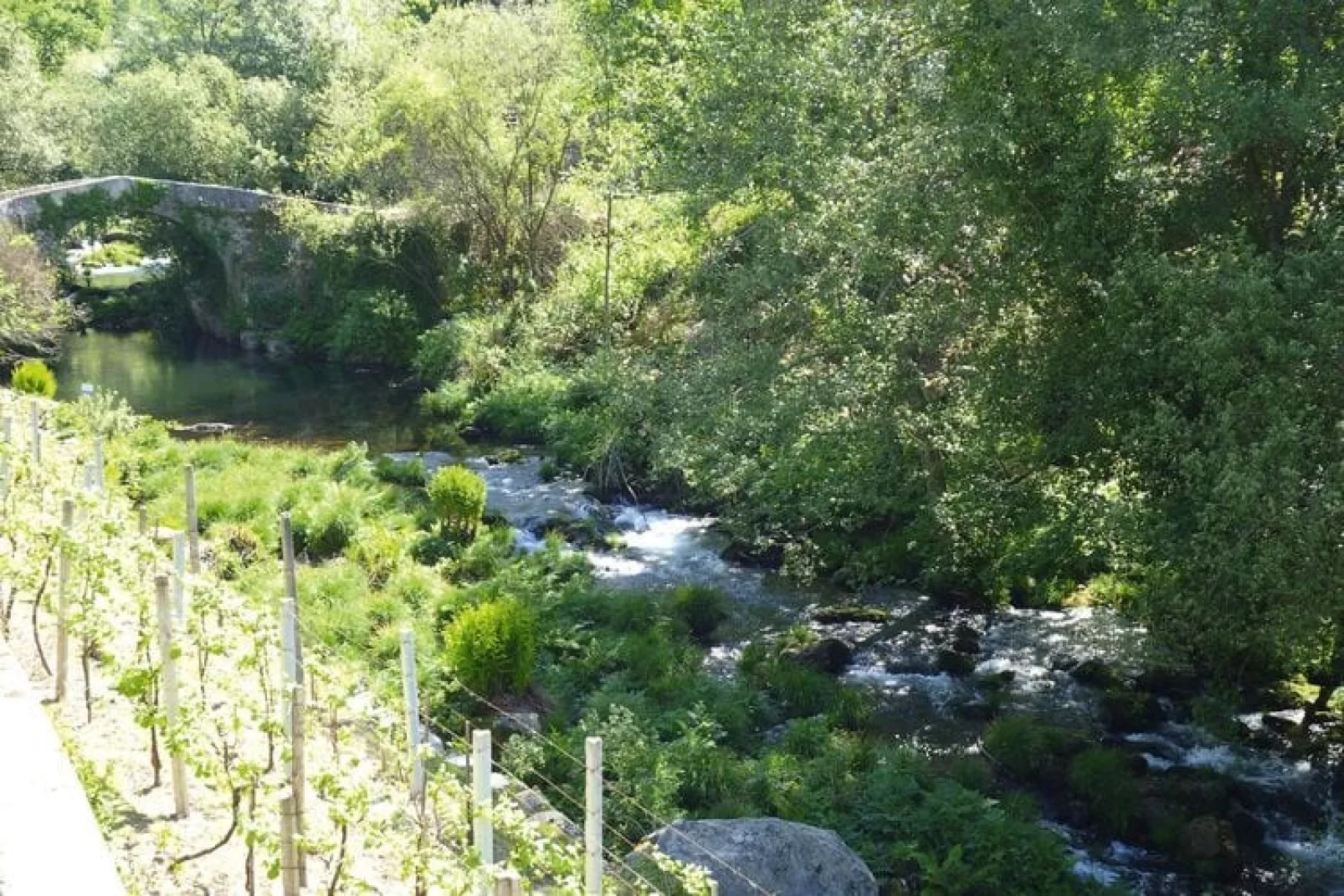 Holiday home Vale de Cambra-Gardens summer