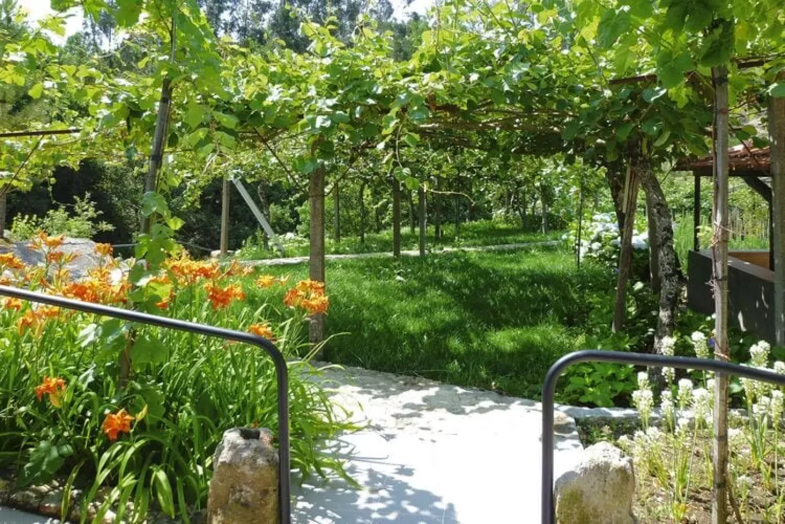 Holiday home Vale de Cambra-Gardens summer