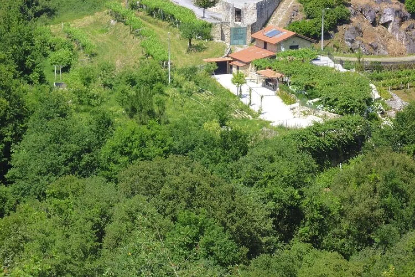 Holiday home Vale de Cambra-Exterior summer