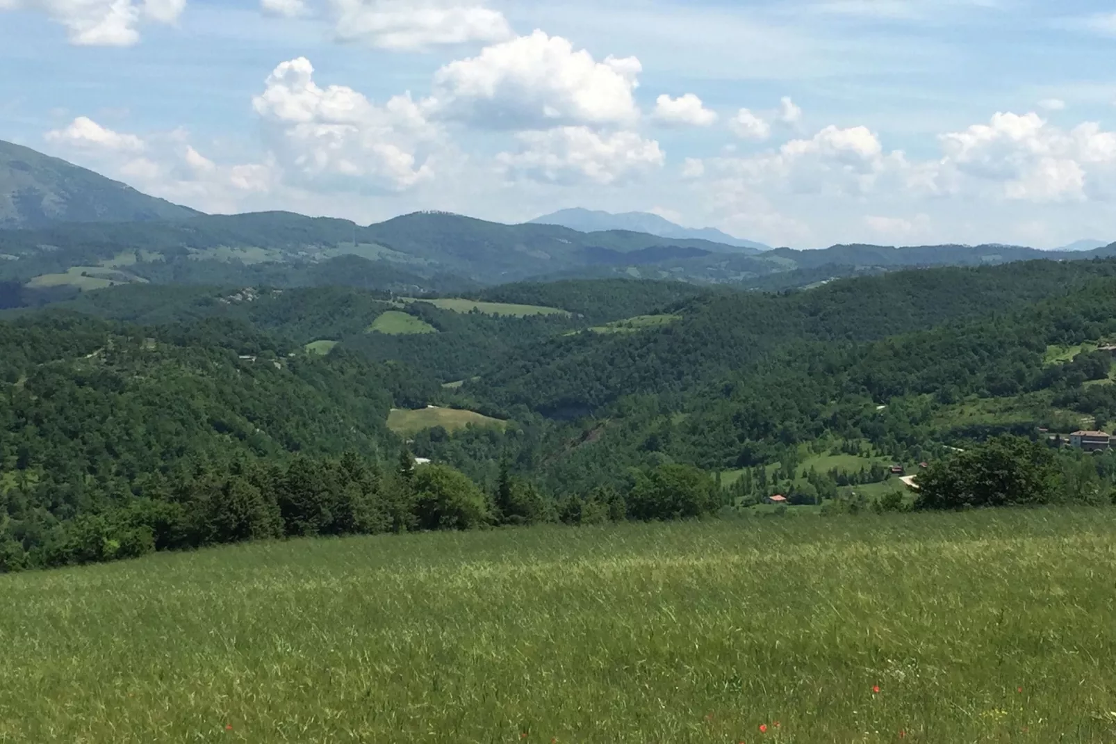 Eolo-View summer