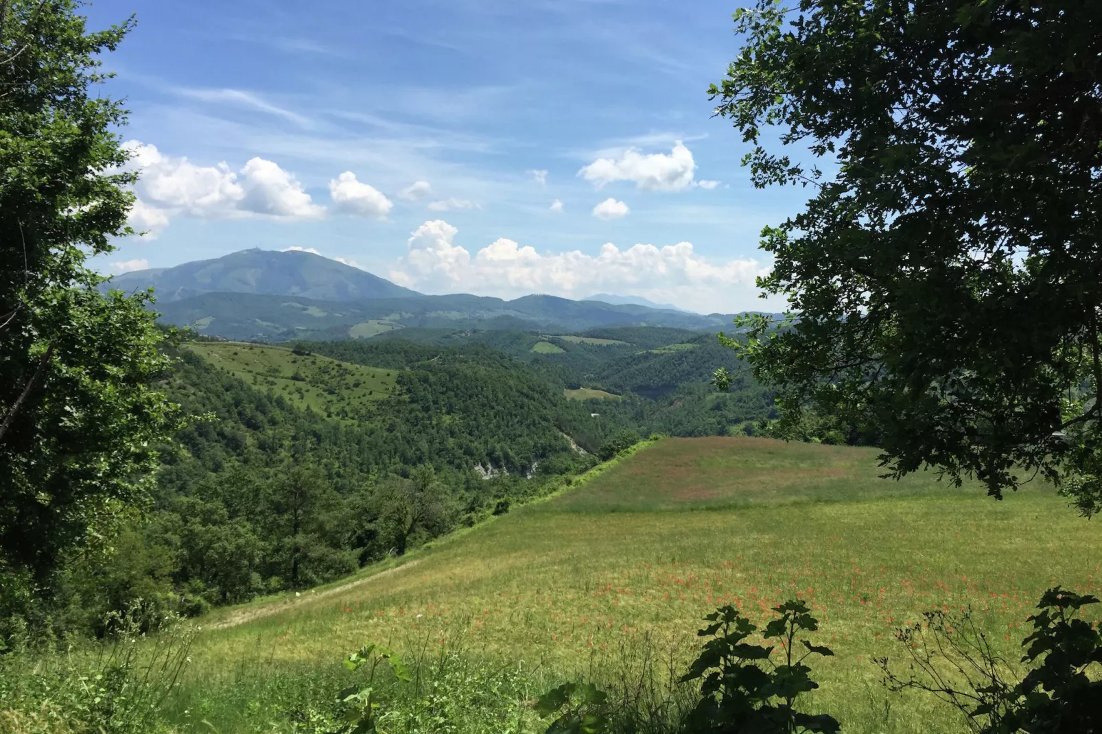 Eolo-View summer
