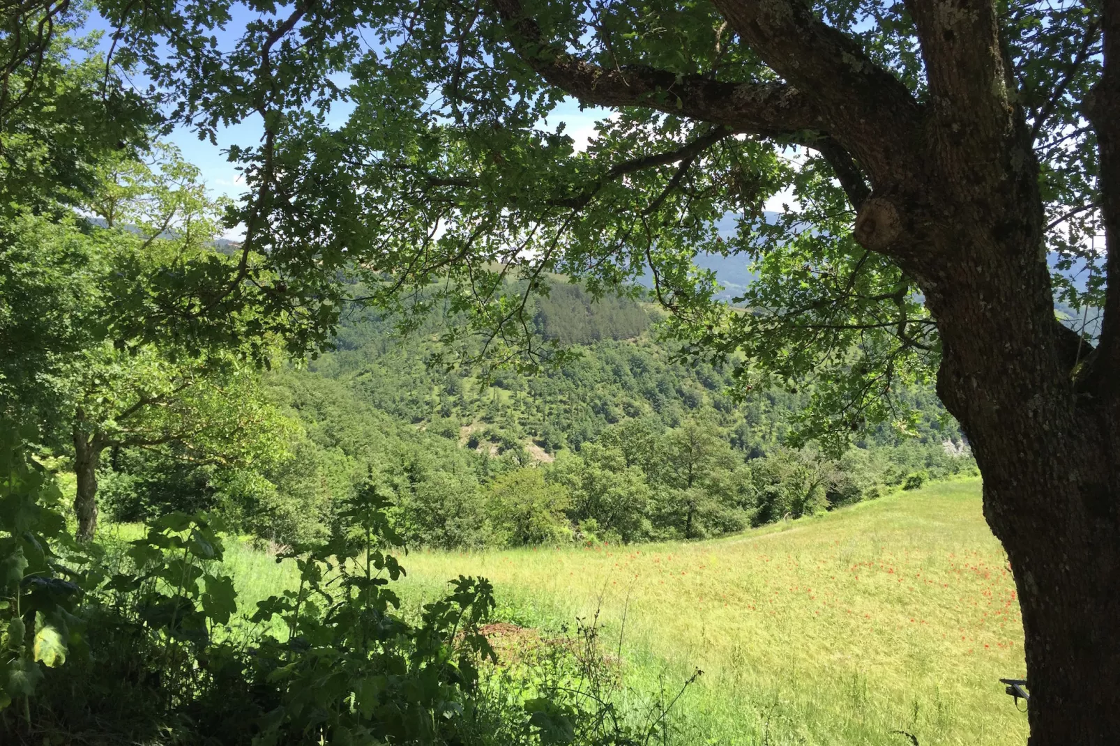 Eolo-View summer