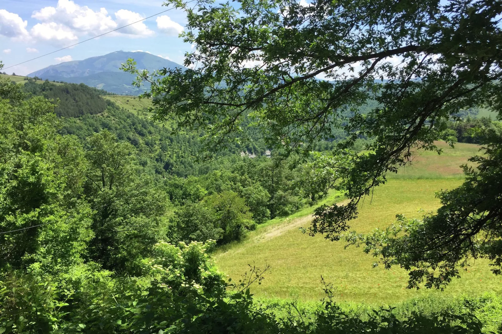 Eolo-View summer