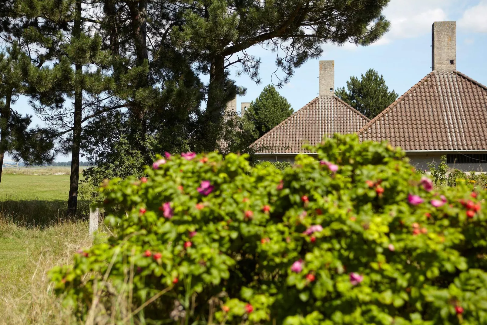 3 room,Premium-Aussicht