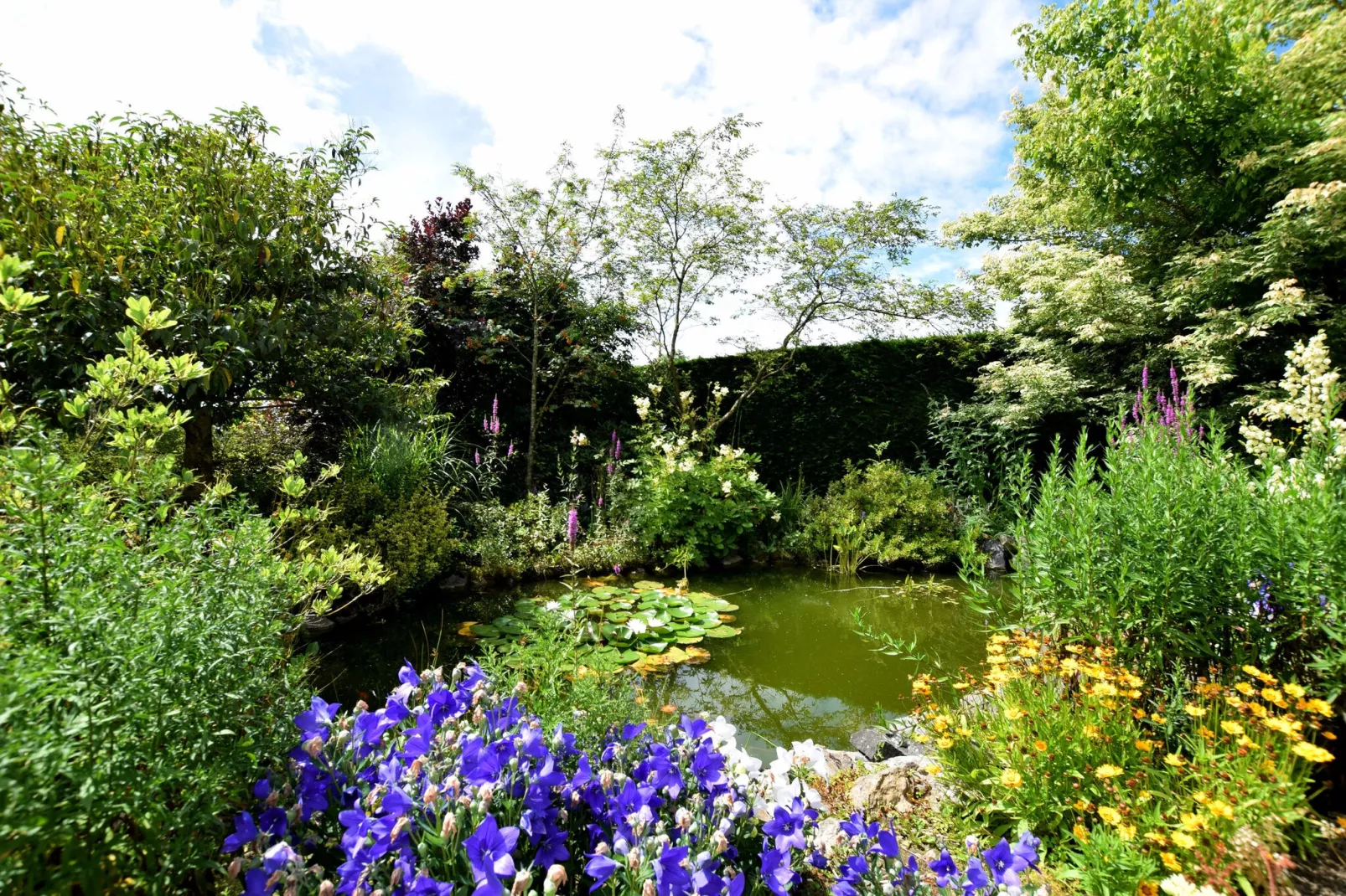 Petite Somme-Gardens summer