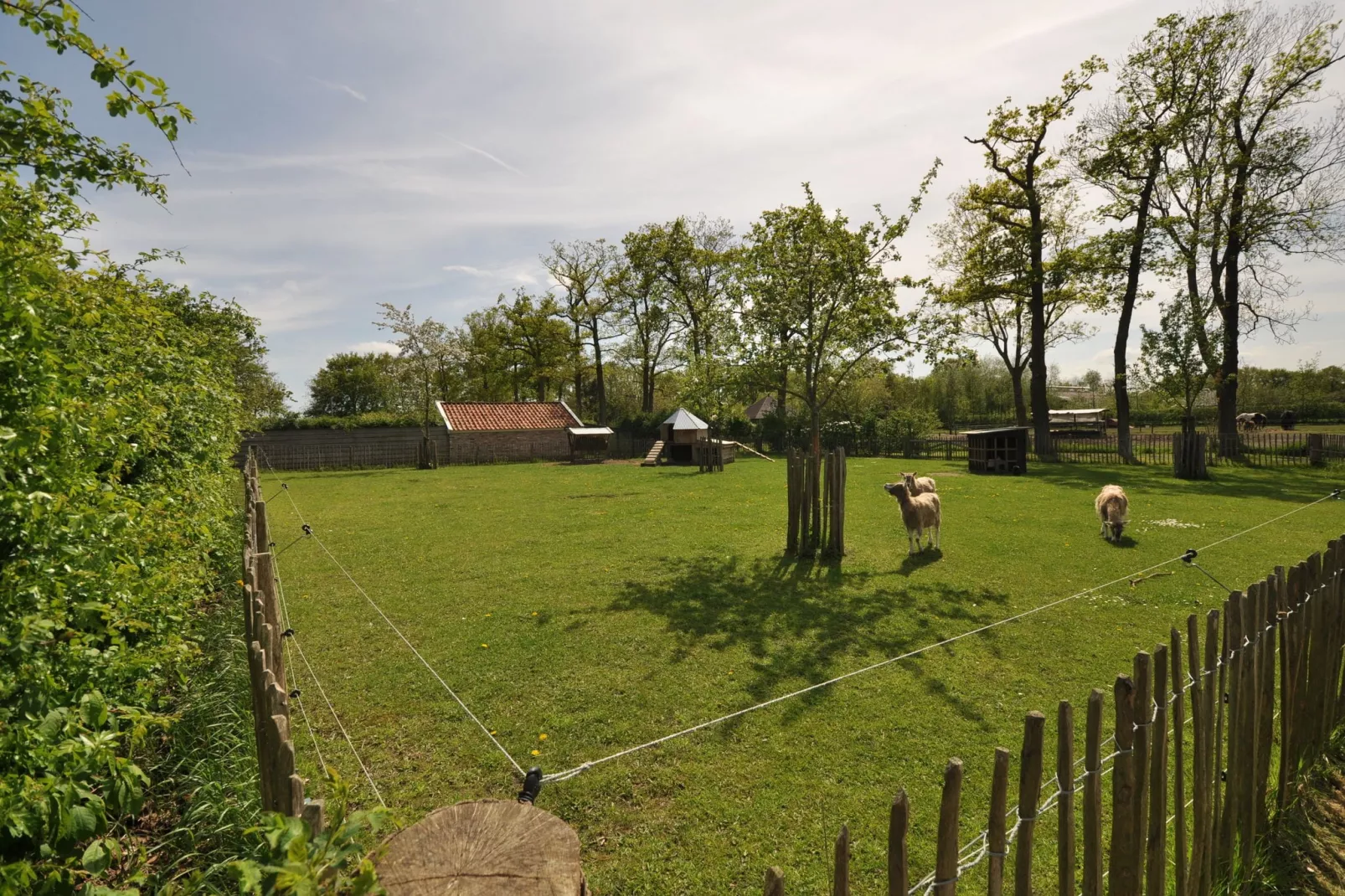 Gastenverblijf Prinsensteeg-Gärten Sommer