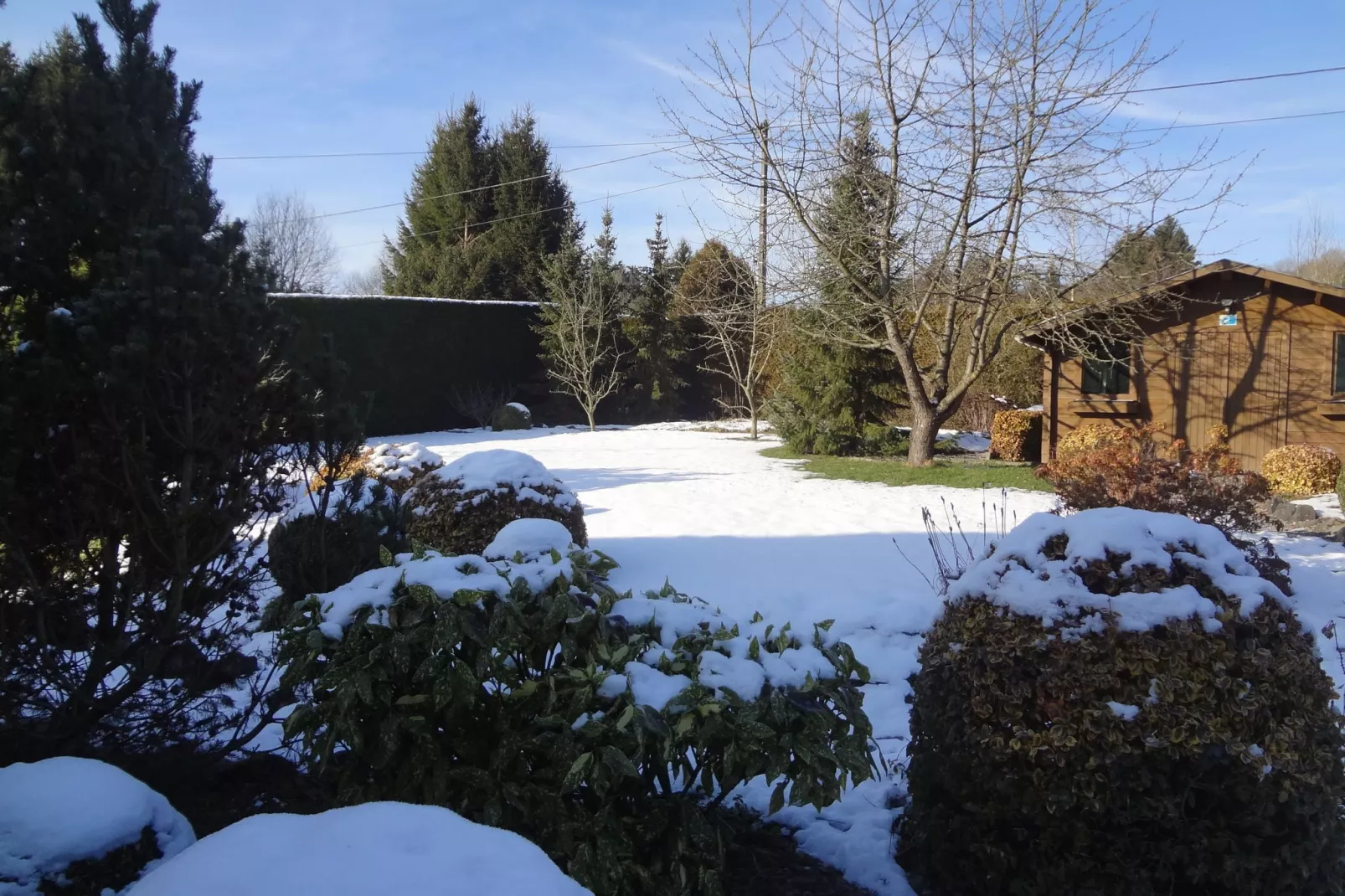 Petite Somme-Garden winter