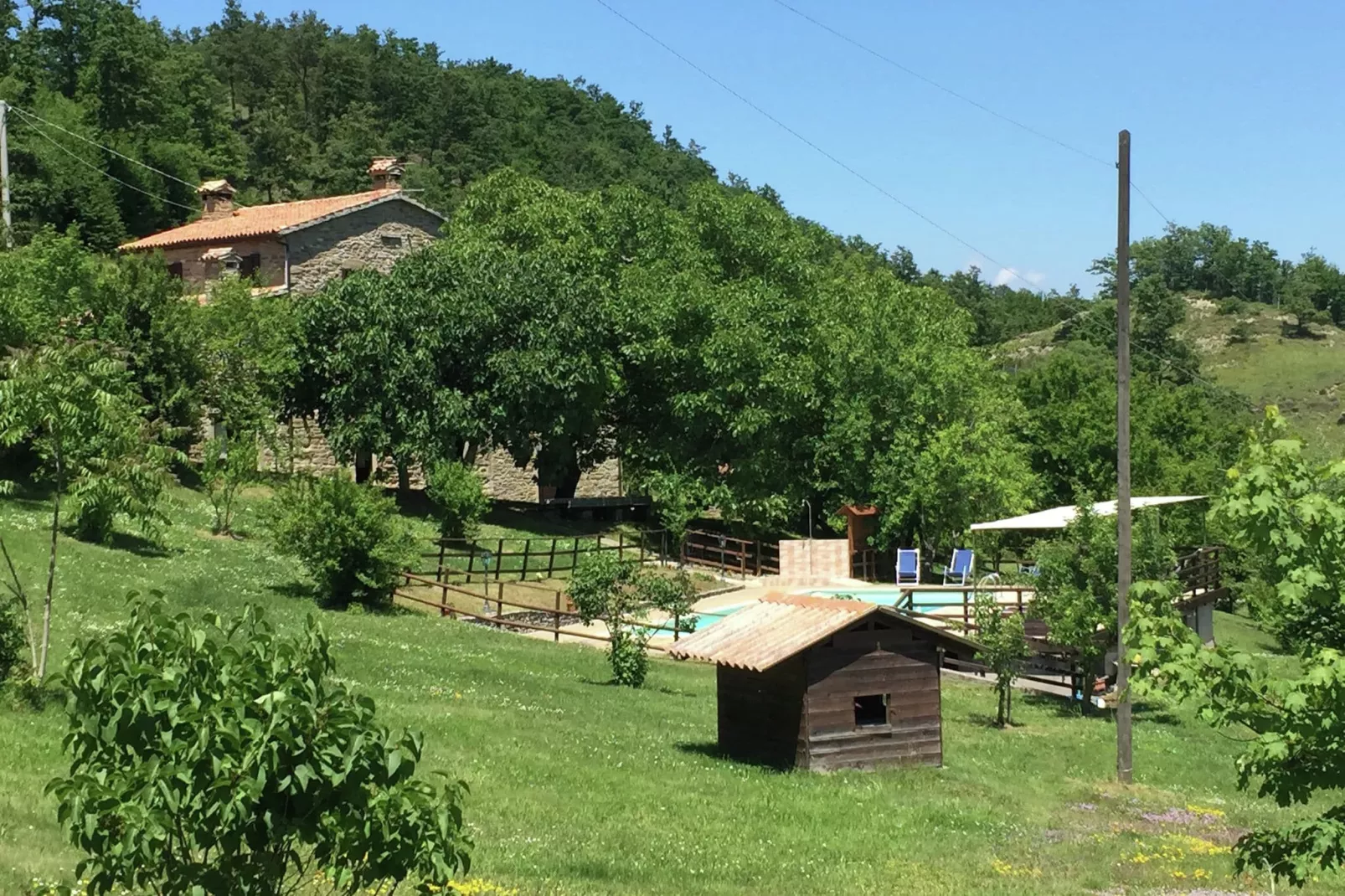 Scalocchio-Pool
