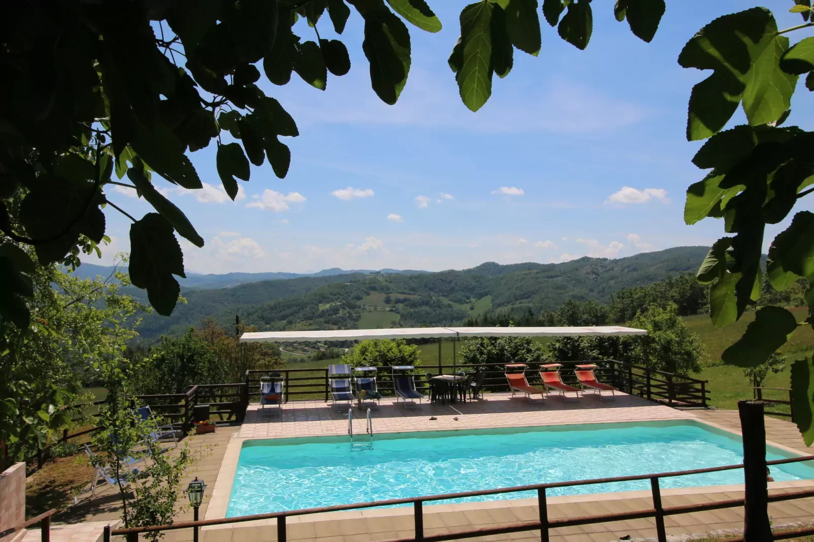 Tartufo-Swimming pool