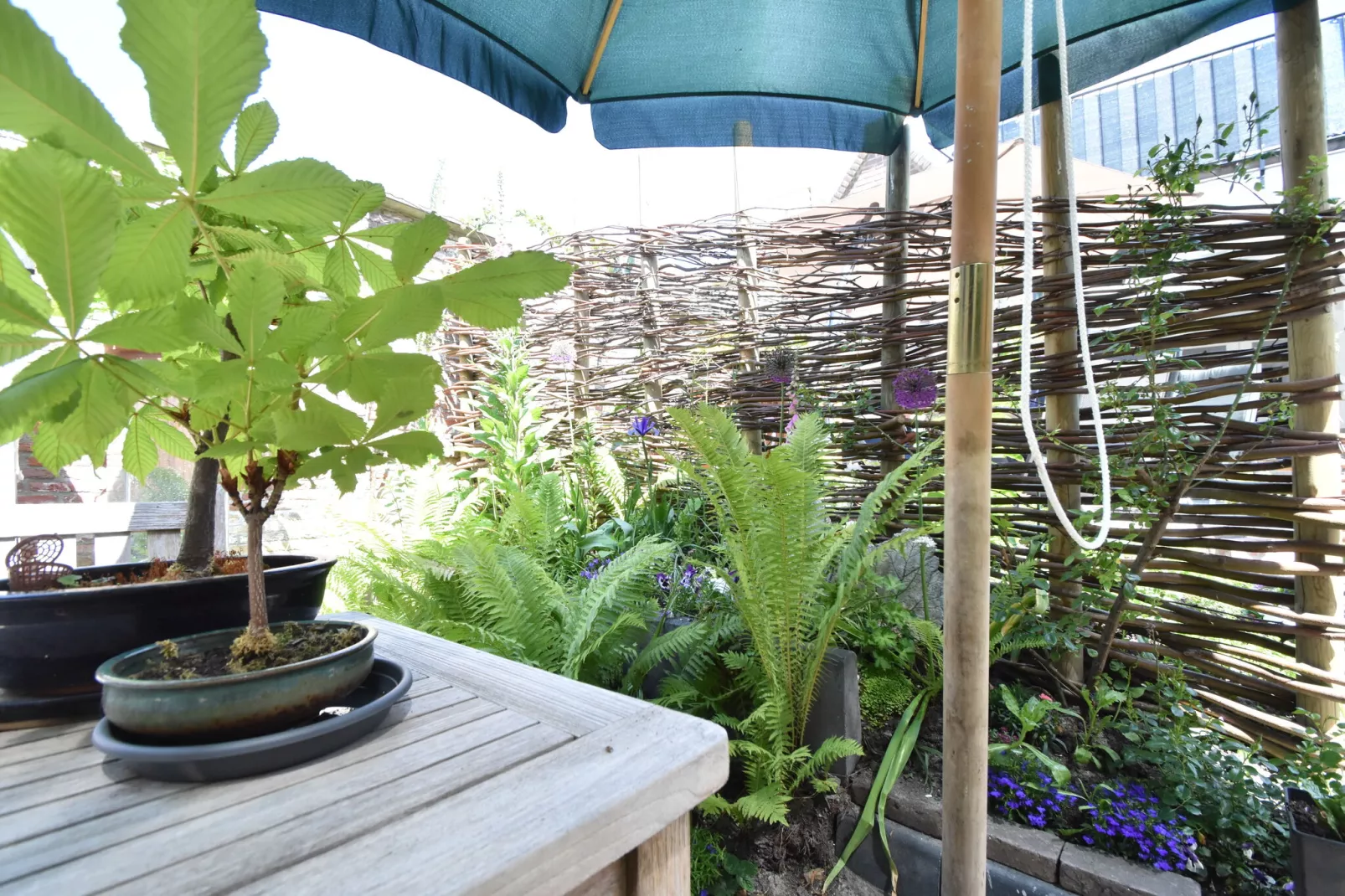 Aan het Boerenverdriet-Gardens summer