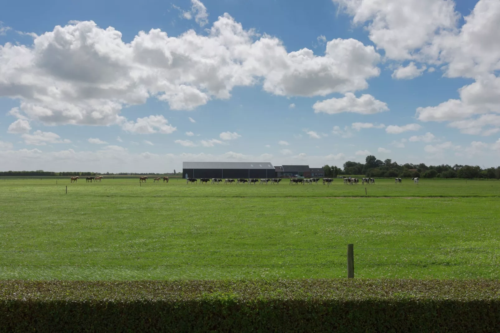 Boerderijwoning 8 personen-Aussicht Sommer