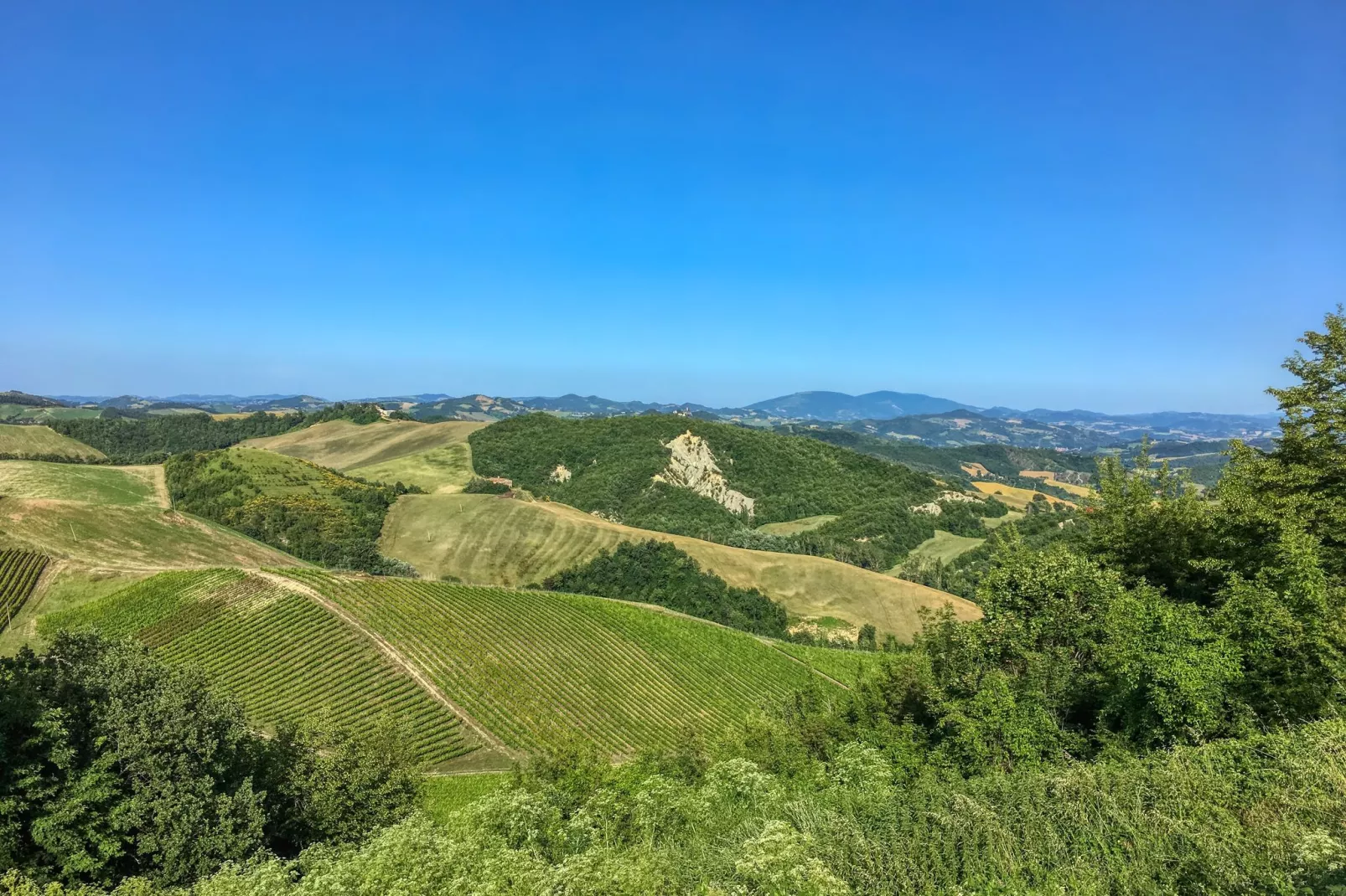 Borgo Cinque-Areas summer 5km