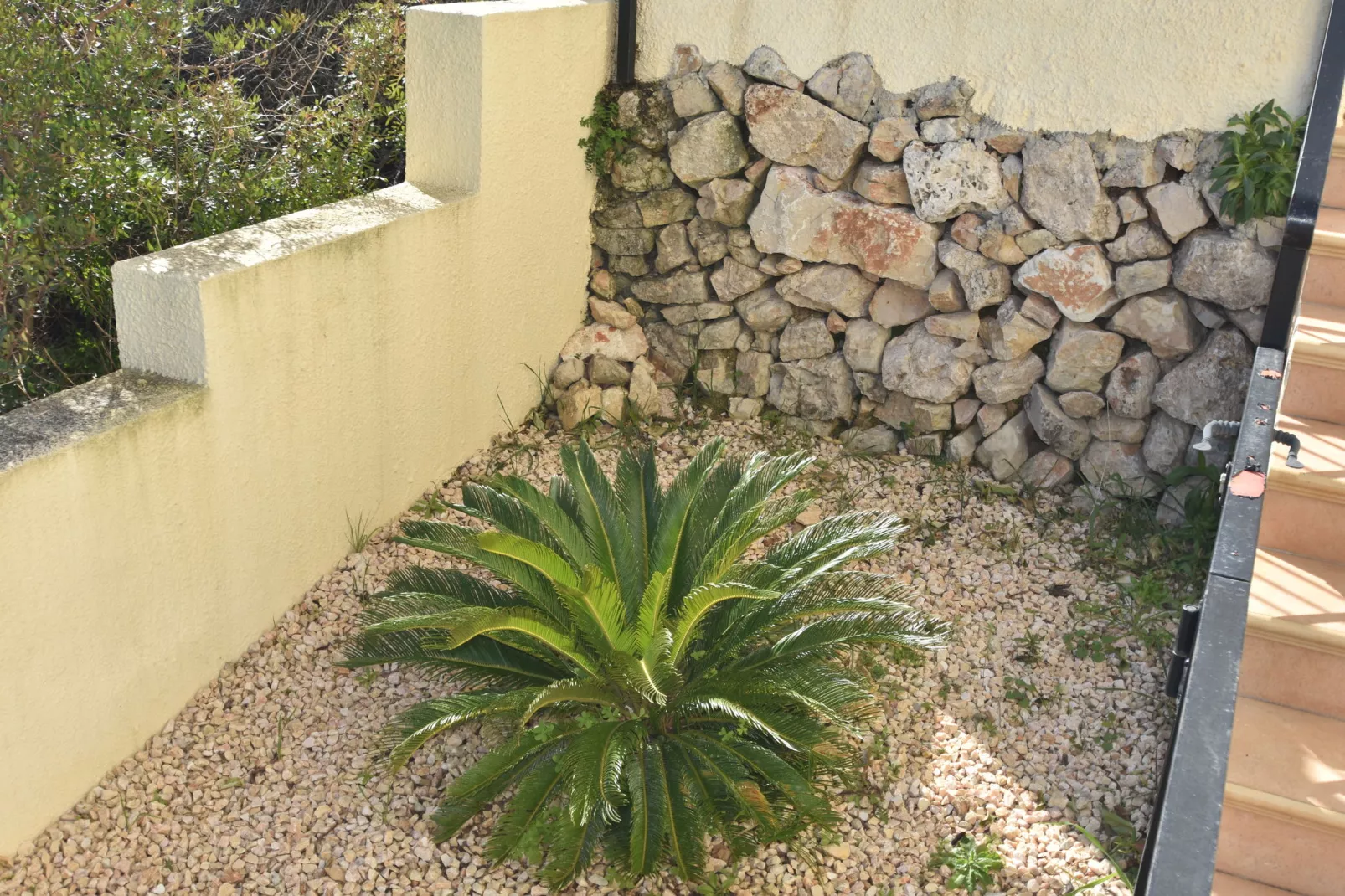 Residentie El Sueño-Gardens summer