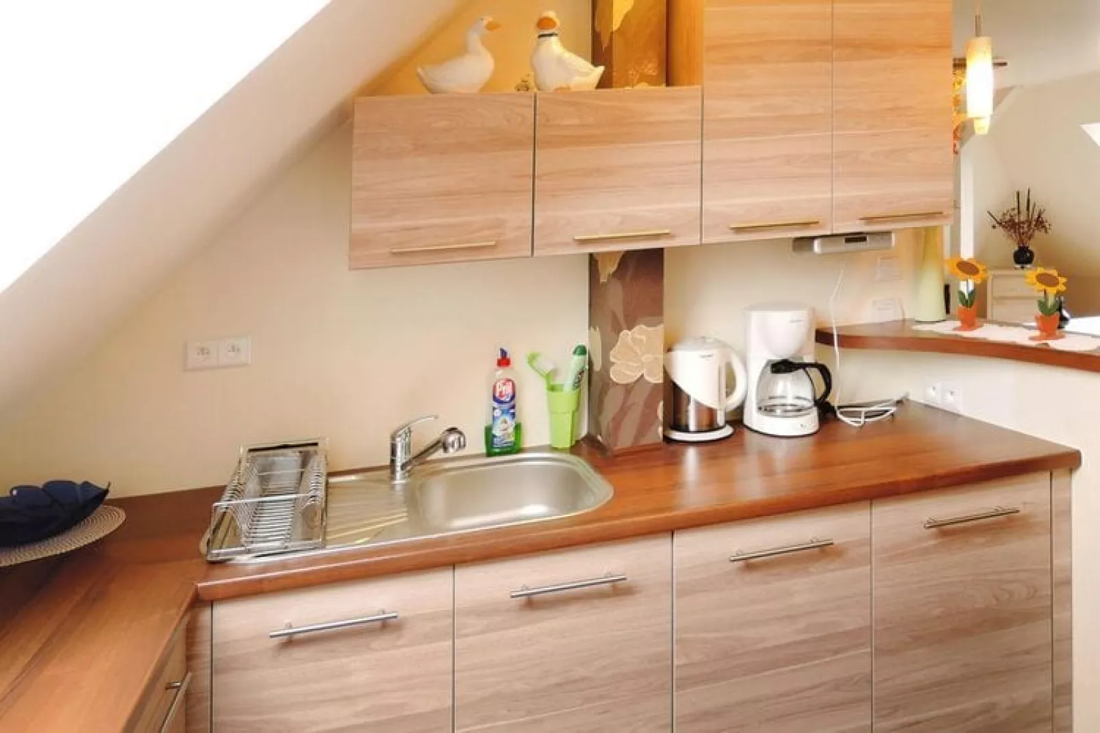 Holiday flat Swinoujscie 55 qm-Kitchen