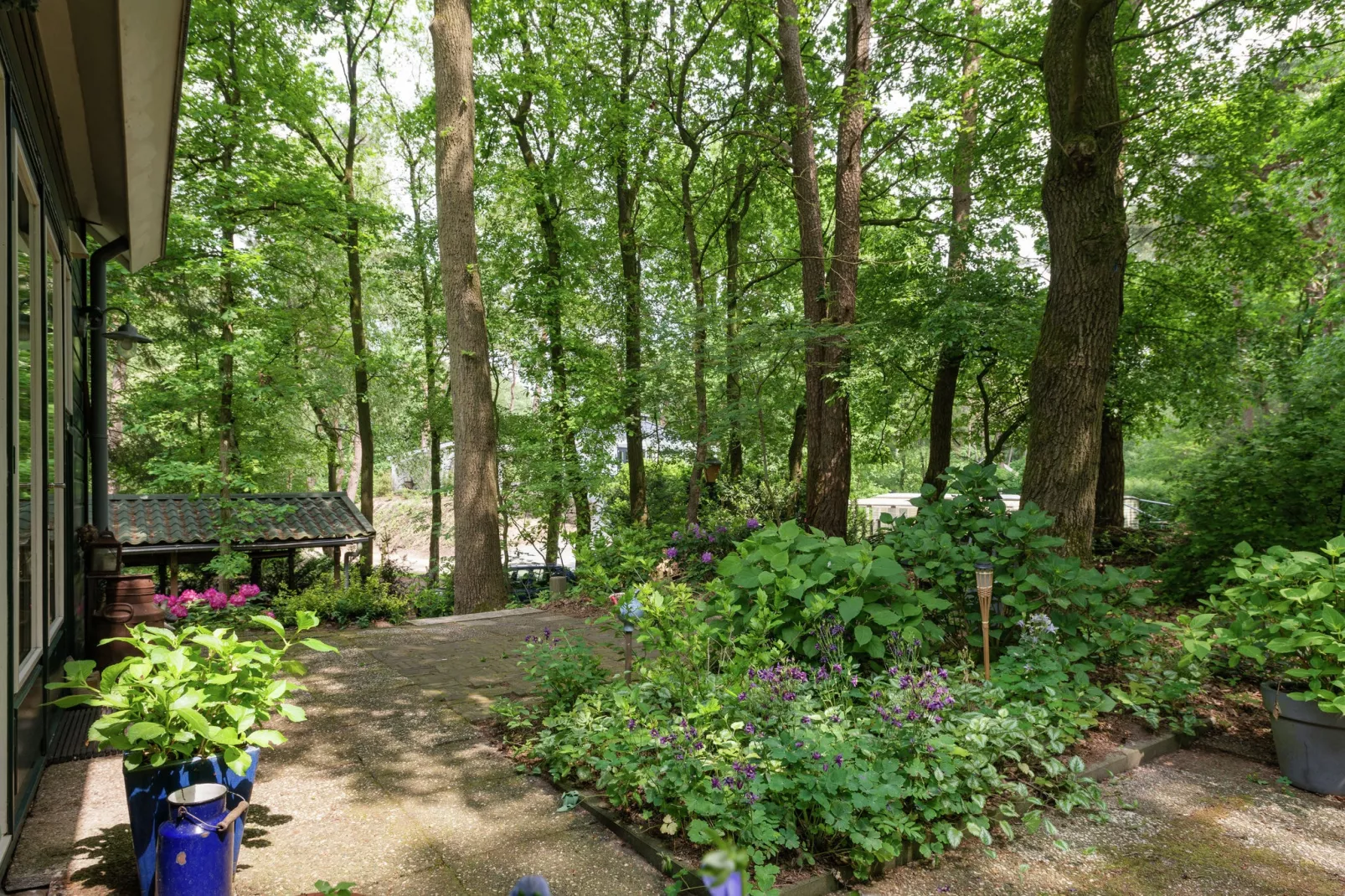 Boshuis-Gardens summer