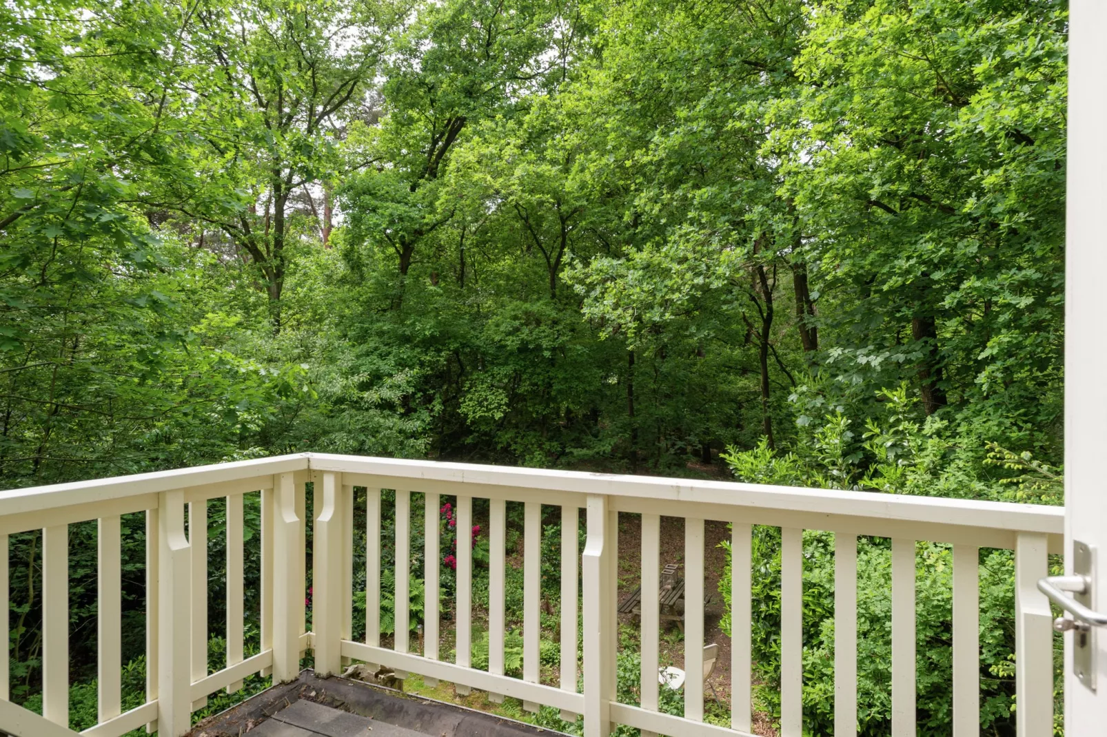 Boshuis-View summer