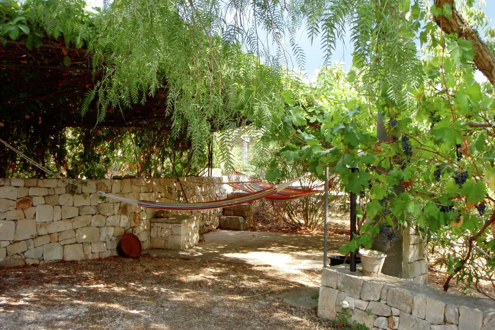 Il Tesoro-Gardens summer