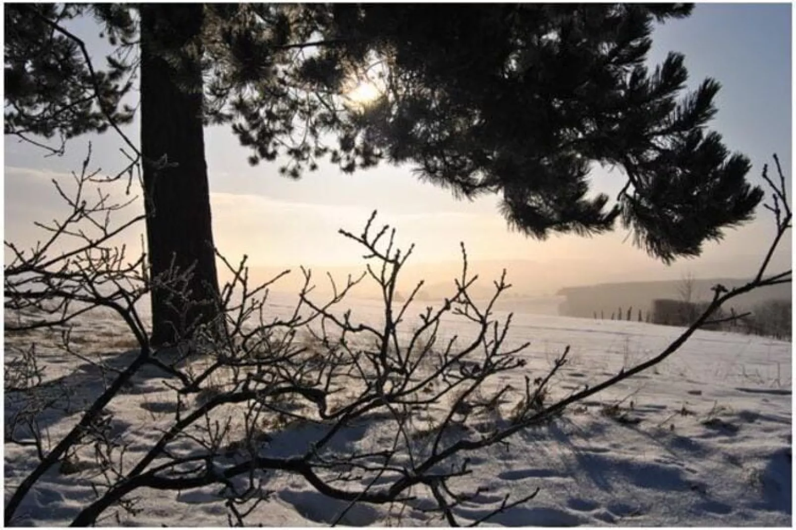 Le sommet de Mont-Außenbereich Winter