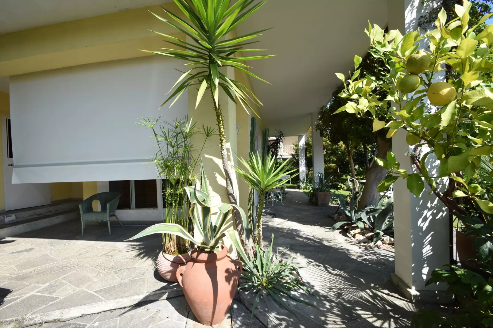 Casa Susanna-Gardens summer