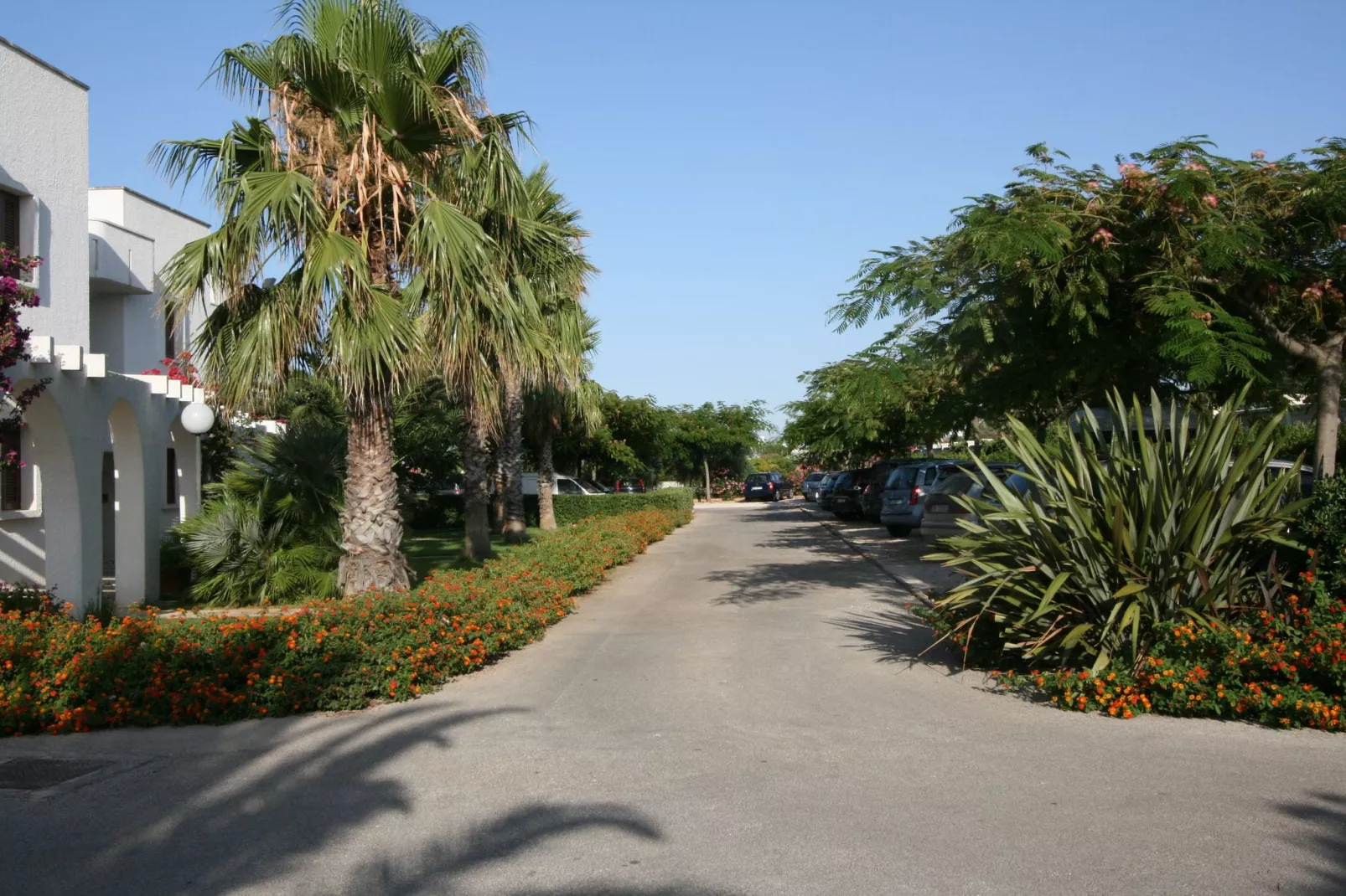 Residence Barbara 2-Exterior summer