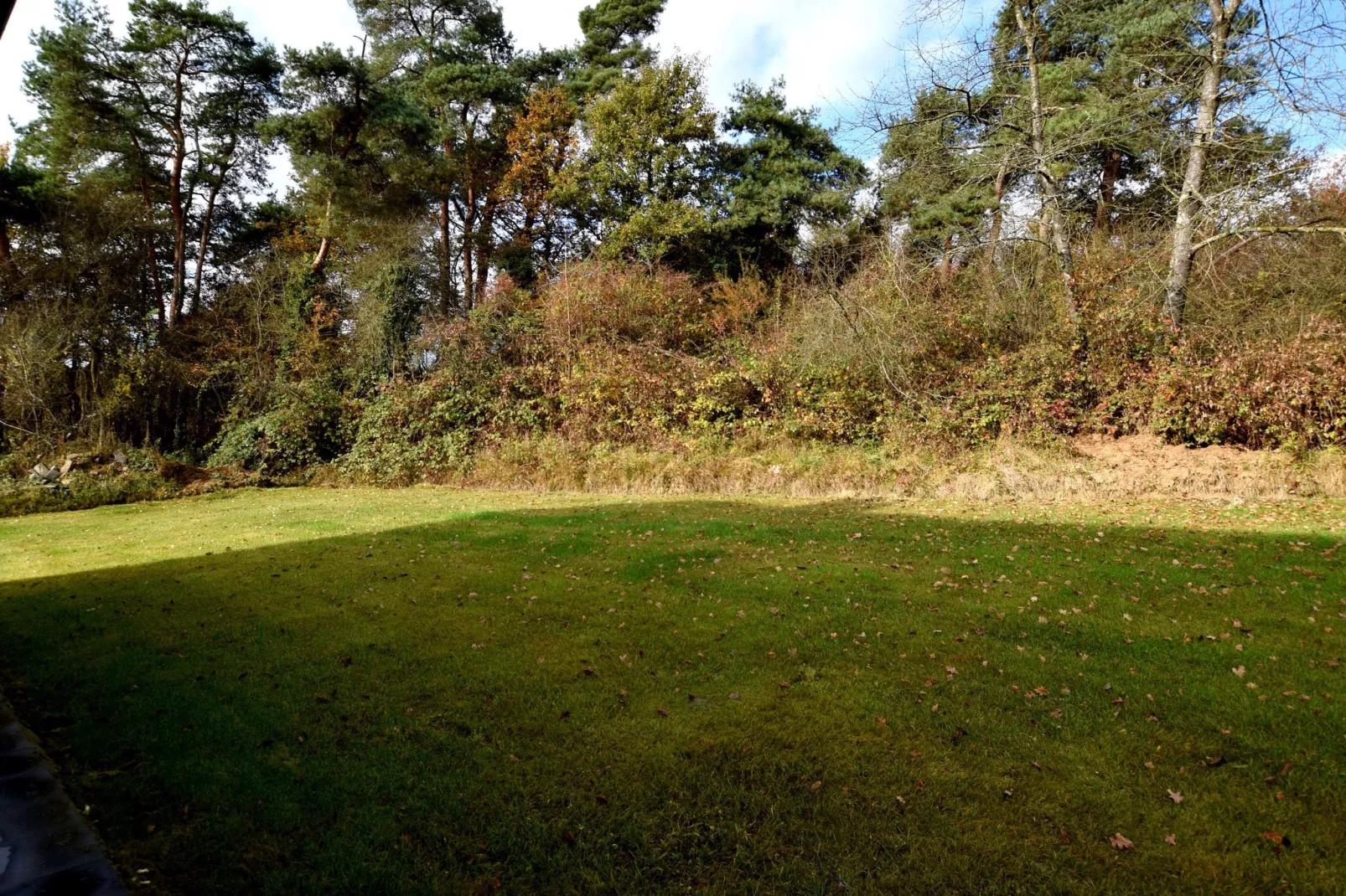 Belle Vue-Gardens summer