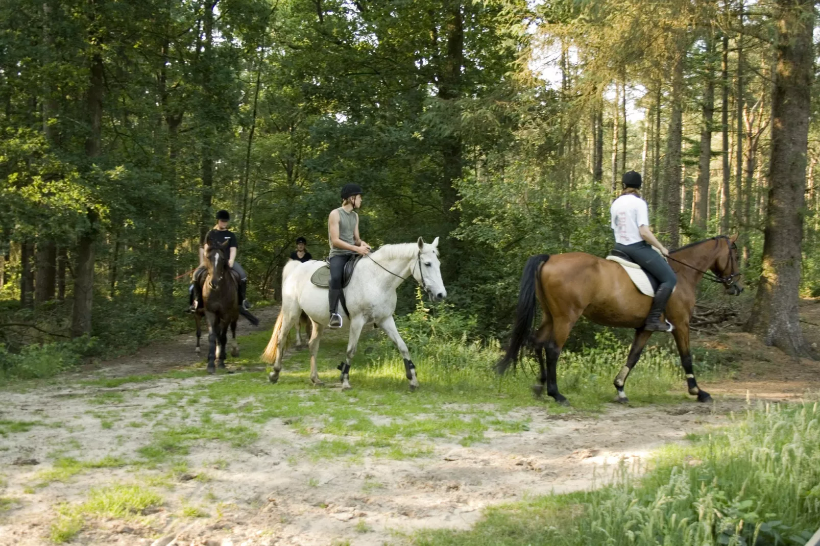 Buitenplaats Gerner 2-Areas summer 5km
