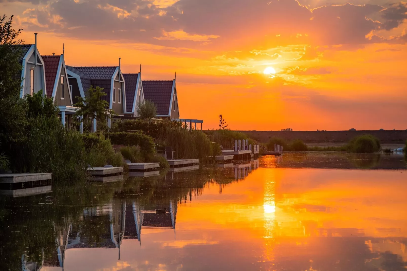 Resort Poort van Amsterdam 14-Areas summer 1km