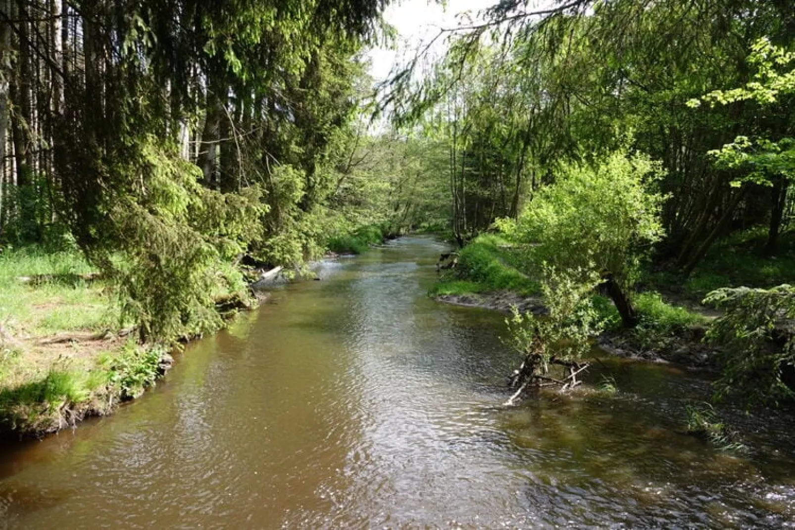 Coeur de Boeur-Areas summer 20km