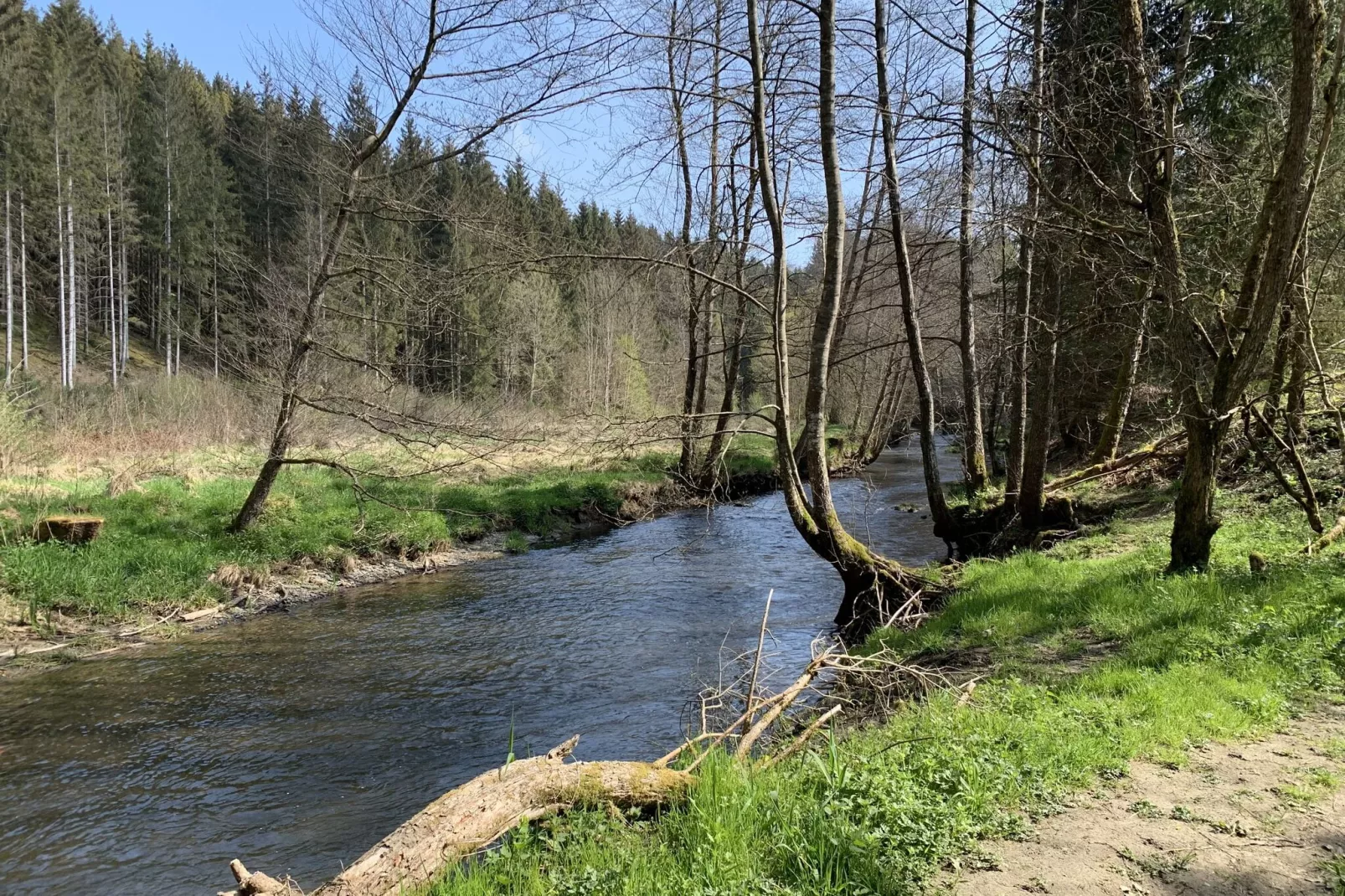 Coeur de Boeur-Areas summer 20km