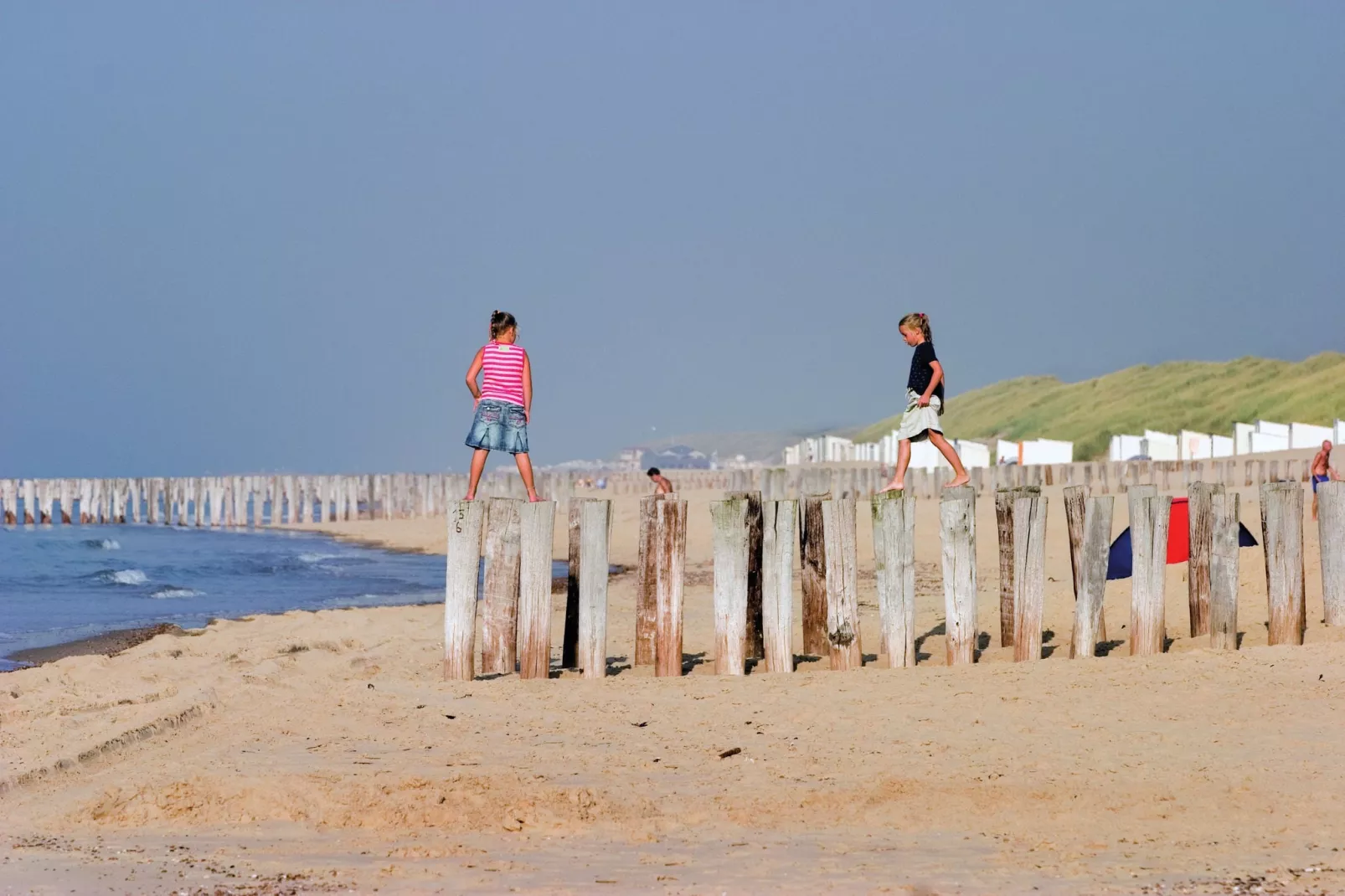 Vakantiepark Bos en Duin 1-Areas summer 5km
