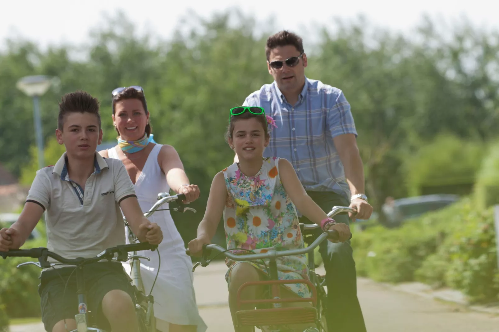Vakantiepark Bos en Duin 1-Areas summer 5km