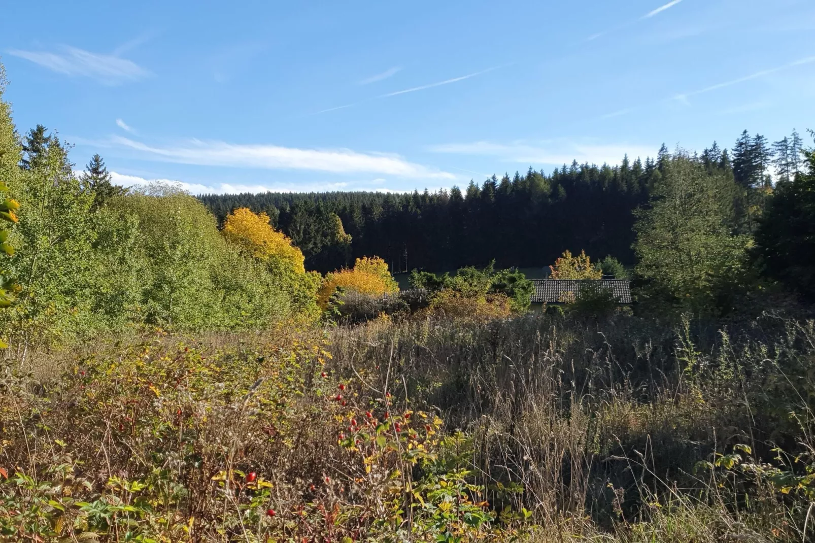Brouwer Ferienhaus-Areas summer 5km