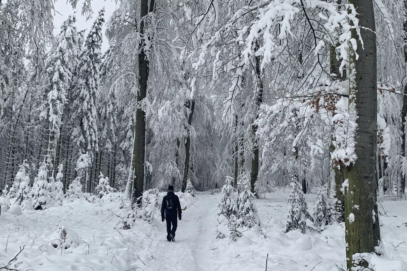 La Maison d'Helene-Zone d'hiver à 1 km