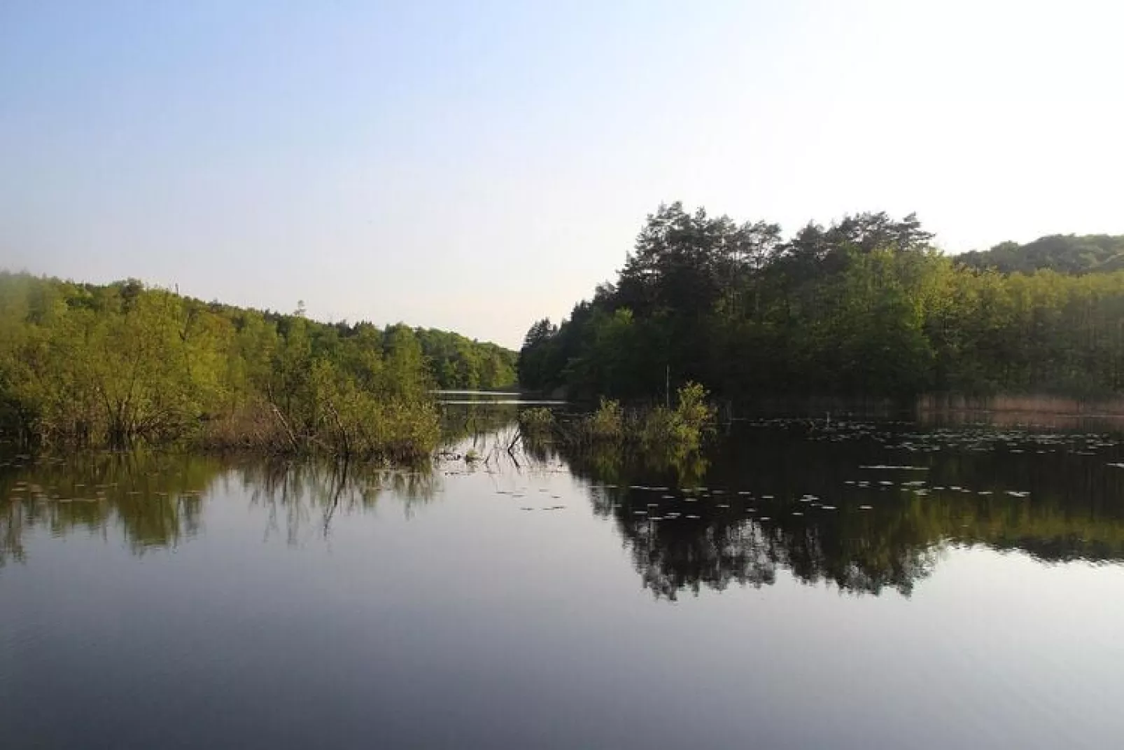 Holiday flat in Kolczewo70 qm for 6 persons-Vue sur l'eau