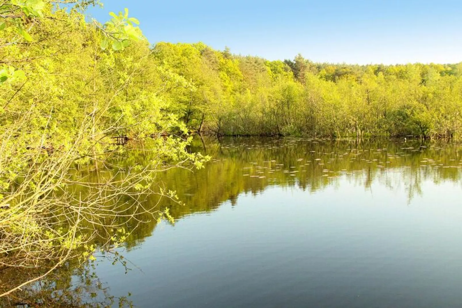 House of Dwarfs - holiday home Kolczewo-Water view