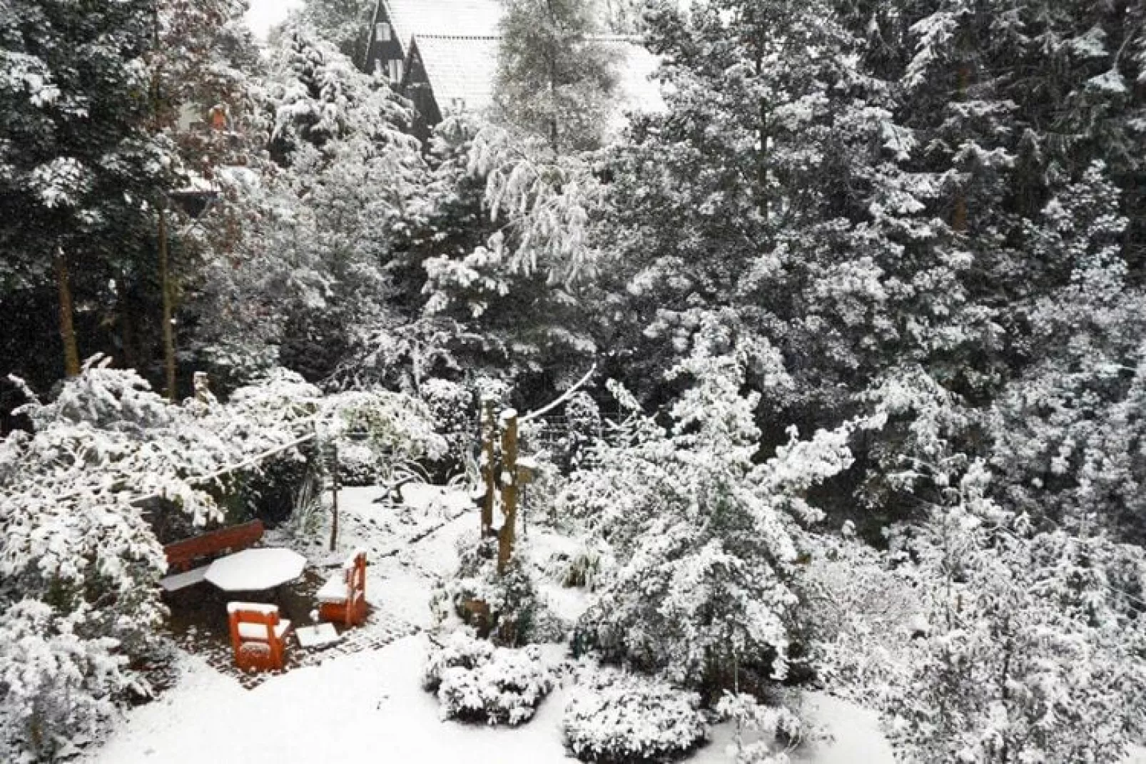 FEWO Bruns-Area winter 20km