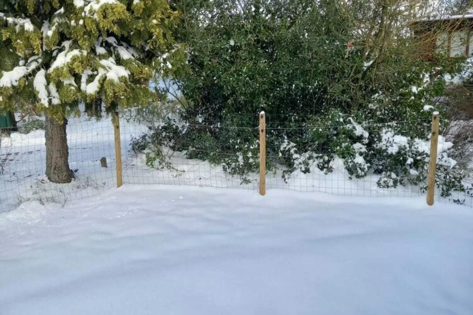 Huisje 84-Exterior winter