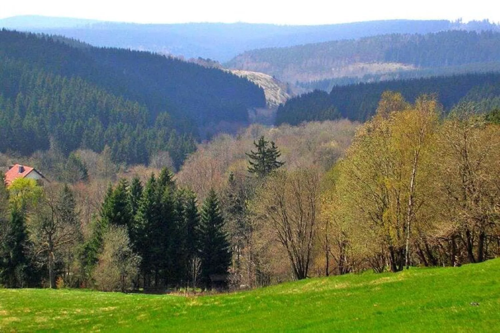 FEWO Bruns-Areas summer 20km