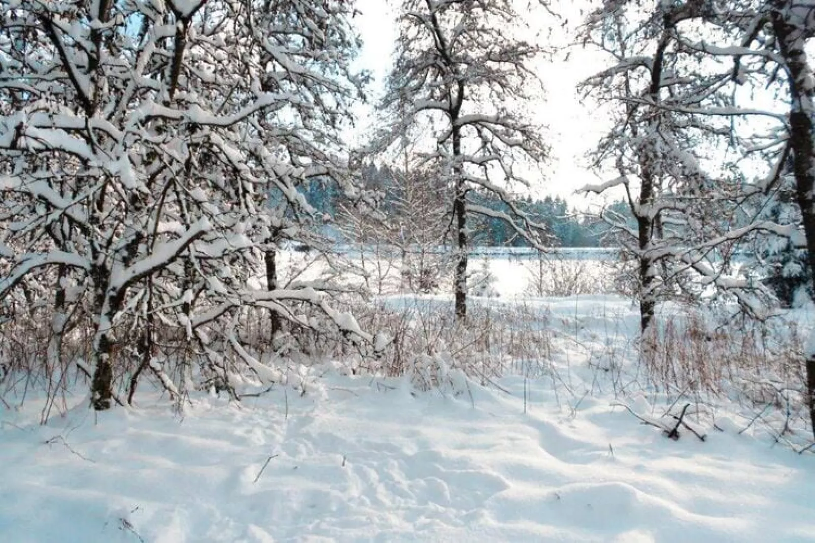 FEWO Bruns-Area winter 20km