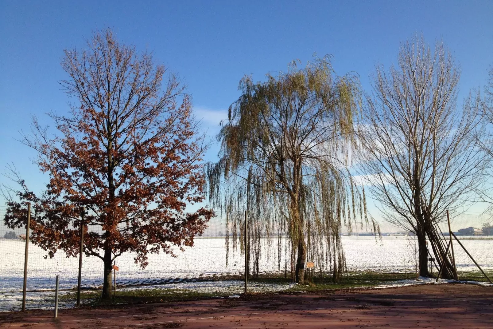 Villa Romana Uno-Gebiet Winter 1 km