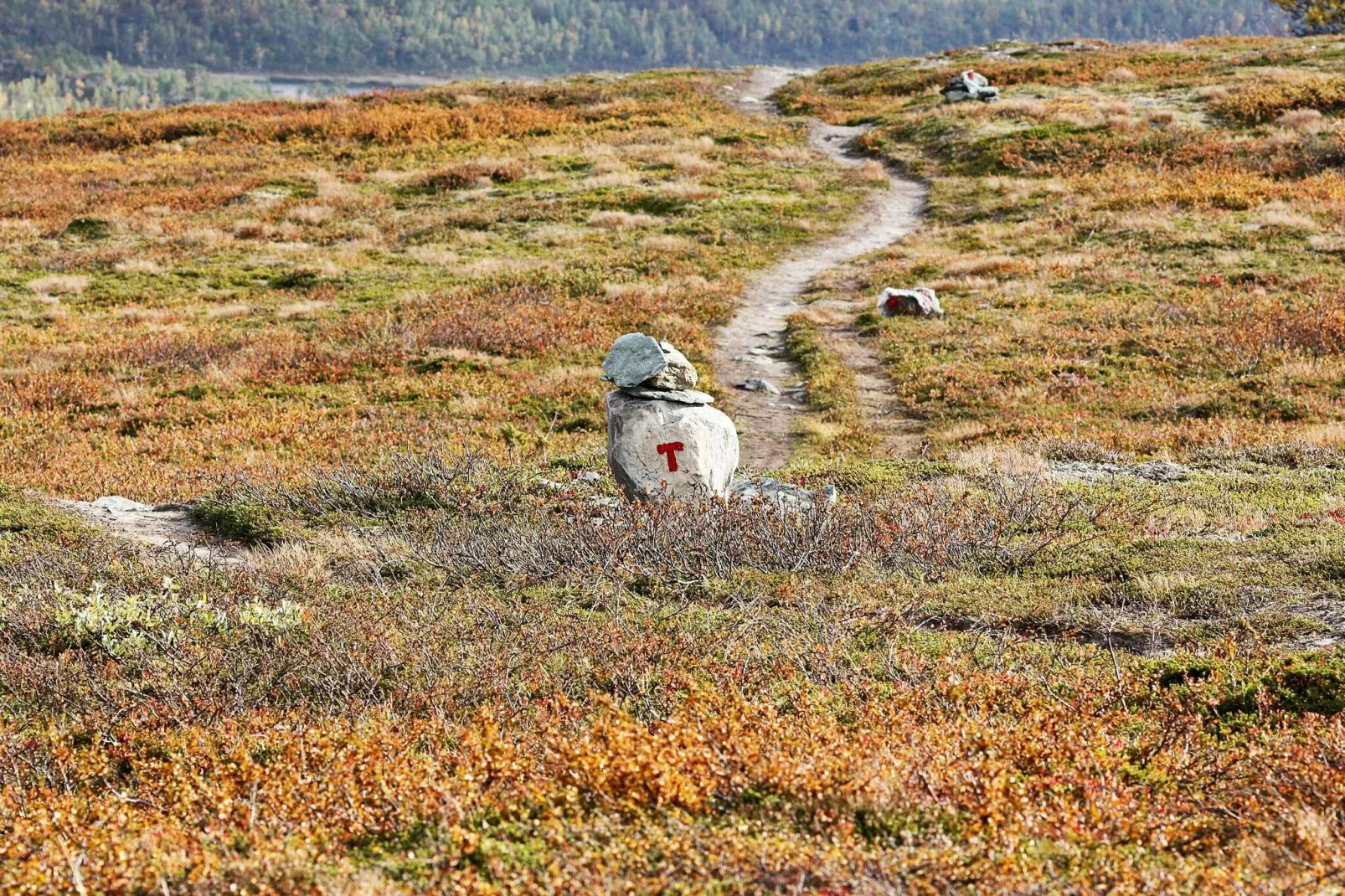 FJELLTUN 50020-Not tagged