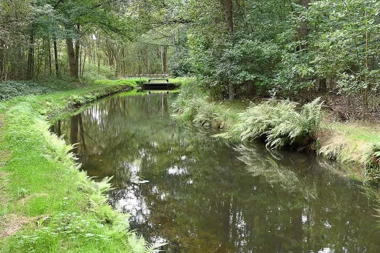Huisje 84-Areas summer 5km